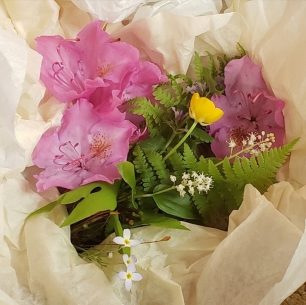 Free Shipping & $3.99 Shipping On Friday & Sunday… - image 8